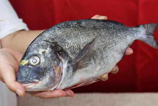 东山岛金头雕 商品图3