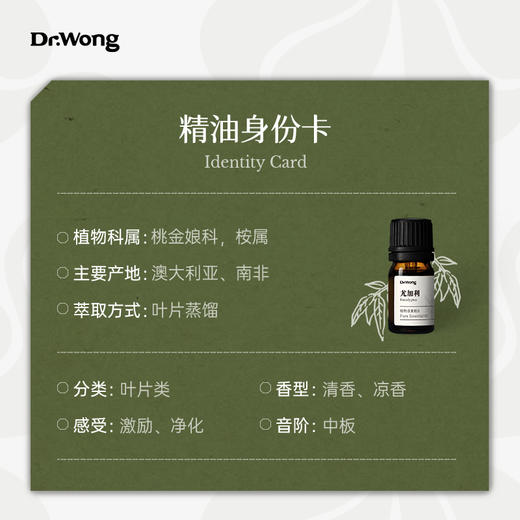 尤加利 植物香薰精油 商品图2