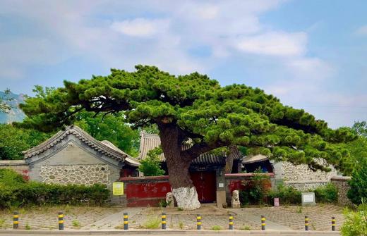 凤凰岭民俗康养之旅两日游：习八段锦·品民俗·悟养生之道 商品图2