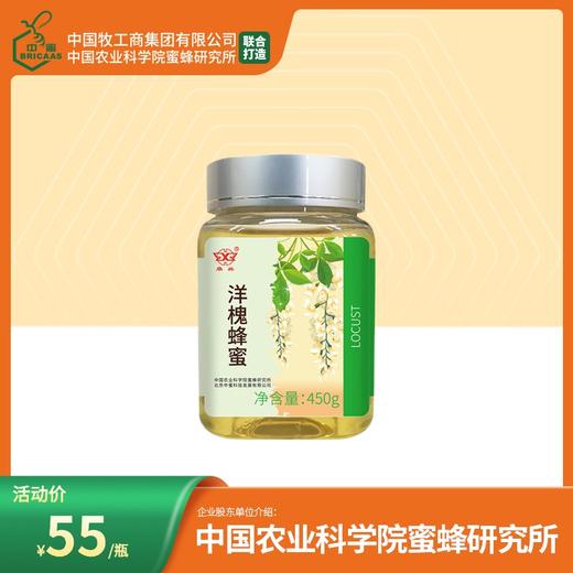 买3送荔枝蜂蜜 华兴牌 洋槐蜂蜜450g 中国农业科学院蜜蜂研究所打造 商品图1