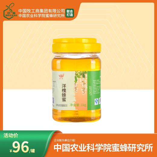 买2送挤瓶蜂蜜 华兴牌 | 洋槐蜂蜜1000g 中国农业科学院蜜蜂研究所出品 商品图0