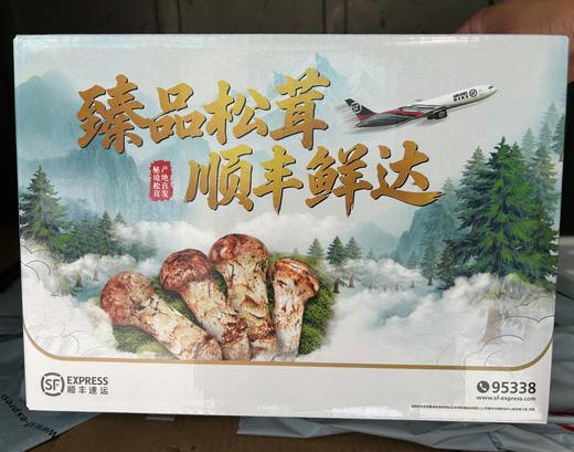 雅江松茸-新鲜高原松茸（最后3天:8月28日截止下单）-顺丰冷链直达 商品图4