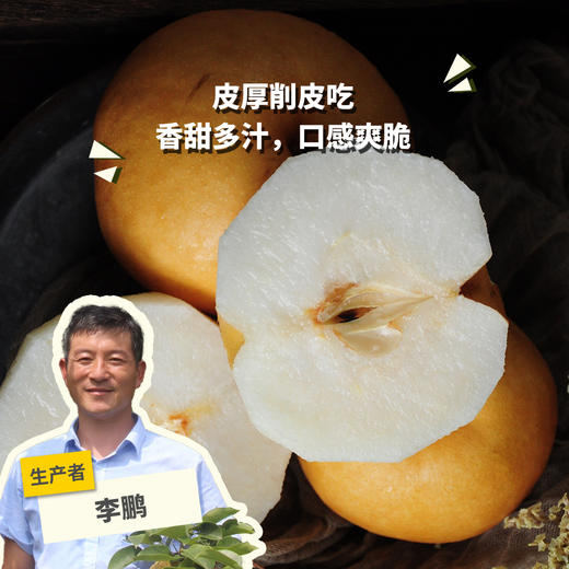 有机圆黄梨 | 合作生产 *Organic Yuanghuang pear | Coproduction 商品图0