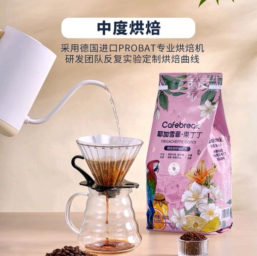 耶加雪菲果丁丁咖啡豆800g 商品图2