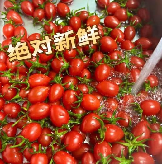 千禧小柿子500g左右 商品图0