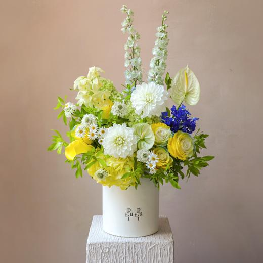 夏日卡普里 Summer in Capri 商品图1