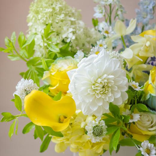 夏日卡普里 Summer in Capri 商品图7