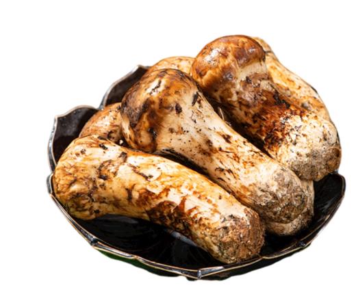 雅江松茸-新鲜高原松茸（最后3天:8月28日截止下单）-顺丰冷链直达 商品图6