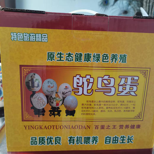 【全国包邮，部分地区除外】产地直发 郧阳区白浪镇原生态健康绿色养殖鸵鸟蛋1枚（2.6~3.5斤左右） 商品图4