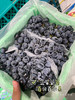 新疆蓝莓葡萄（件） 商品缩略图1