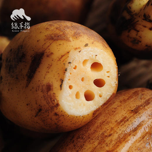 生态粉莲藕（湖北） | 合作生产* Eco-lotus root | Coproduction 商品图4