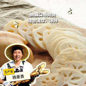 生态粉莲藕（湖北） | 合作生产* Eco-lotus root | Coproduction