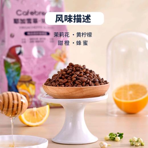 耶加雪菲果丁丁咖啡豆800g 商品图3