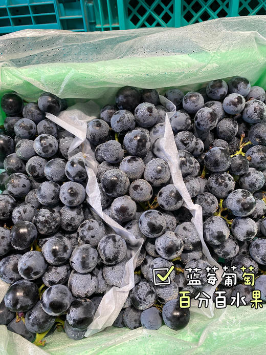 新疆蓝莓葡萄（件） 商品图2