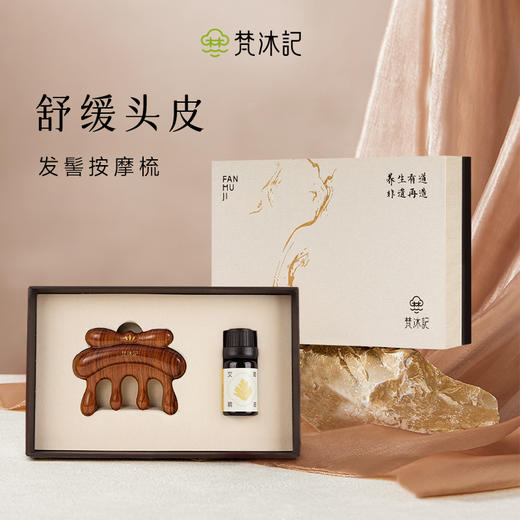 梵沐记发髻按摩梳（小号） 商品图0