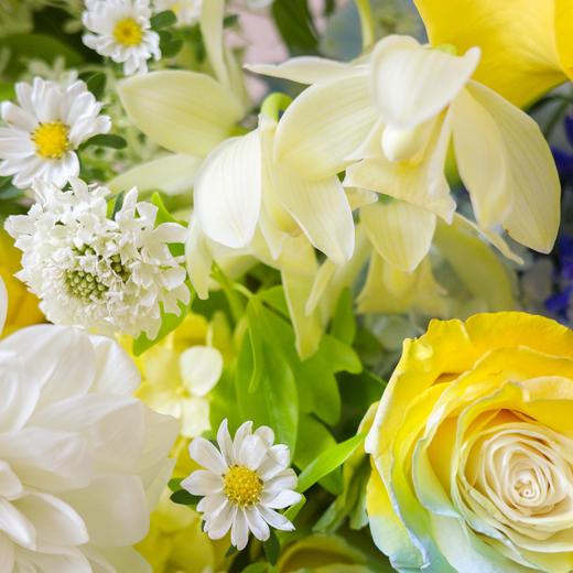 夏日卡普里 Summer in Capri 商品图9