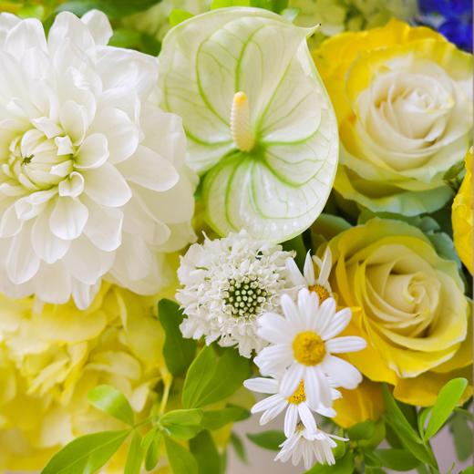 夏日卡普里 Summer in Capri 商品图5