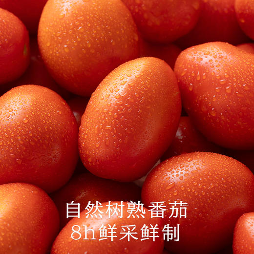 南食召 番茄冷面汁 商品图2