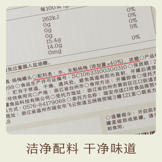 南食召 本真杨梅罐头 当季东魁杨梅 自然清甜 顺丰发货水果罐头 商品图4