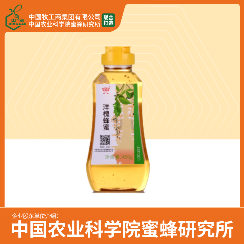 华兴牌 | 洋槐蜂蜜450g 挤瓶 中国农业科学院蜜蜂研究所打造 有效期至2026-09-02