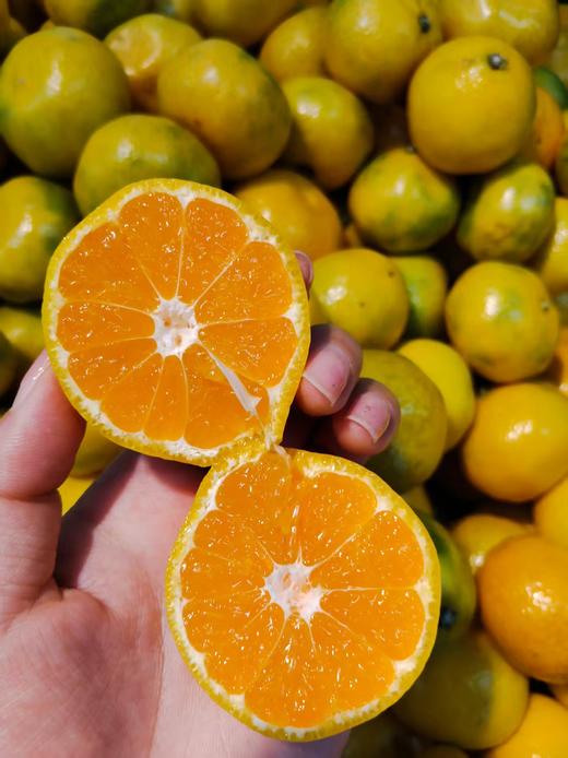 珍珠蜜桔3斤 商品图1