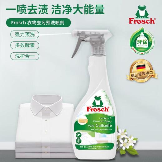 Frosch福纳丝 环保衣物去污预洗喷剂500ml 商品图0