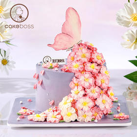 处女座“蝴蝶花海”水果奶油蛋糕