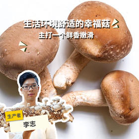 有机鲜香菇 | 绿家自产 * Organic tea shitake | Self-production