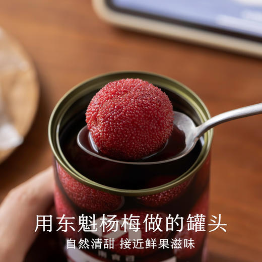 南食召 本真杨梅罐头 当季东魁杨梅 自然清甜 顺丰发货水果罐头 商品图1