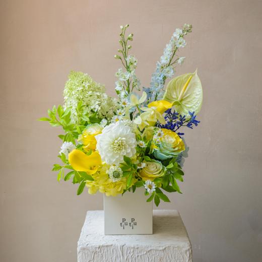 夏日卡普里 Summer in Capri 商品图6