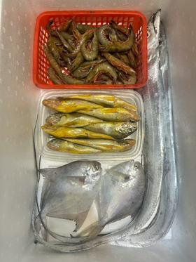 舟山野生小海鲜套餐