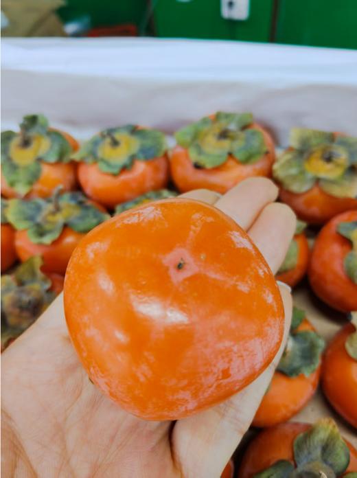 七月红火柿子一箱 商品图1