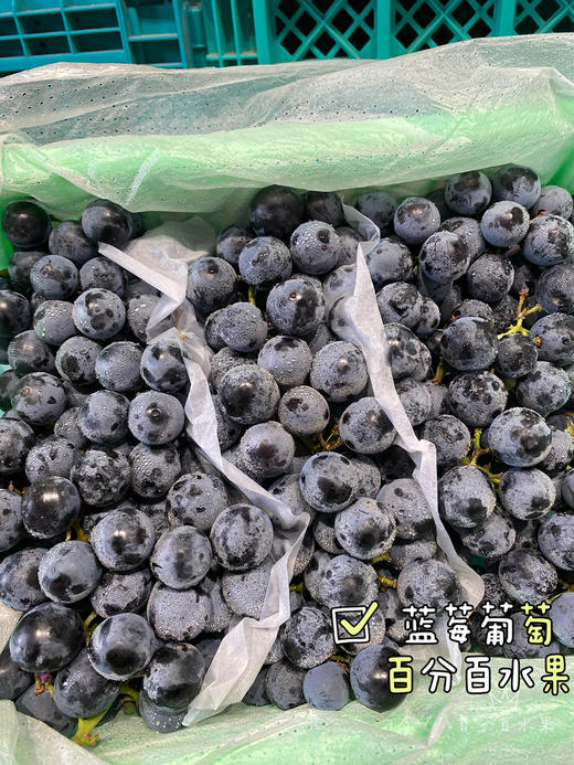 新疆蓝莓葡萄（件） 商品图3