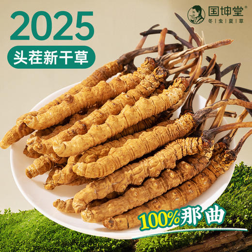 国坤堂 西藏那曲虫草贵系礼盒 商品图6