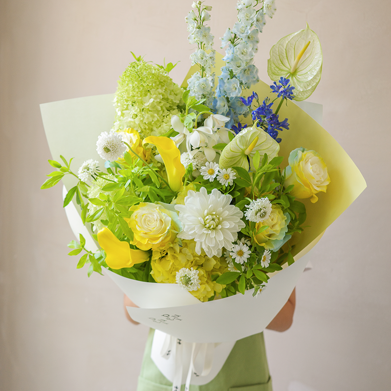 夏日卡普里 Summer in Capri