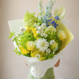 夏日卡普里 Summer in Capri