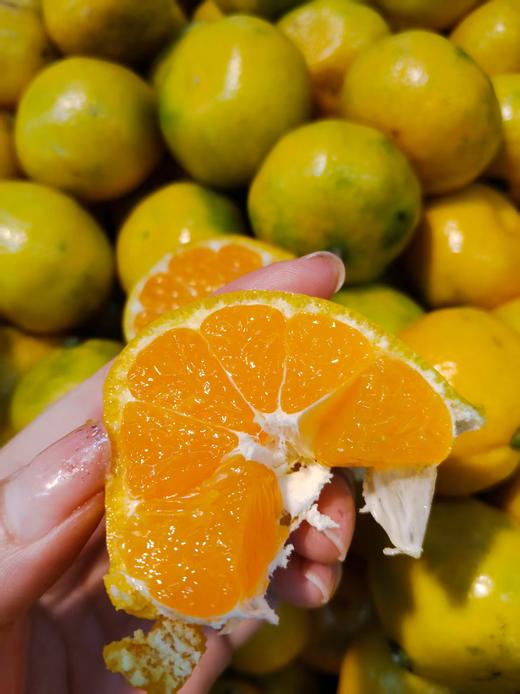 珍珠蜜桔3斤 商品图2