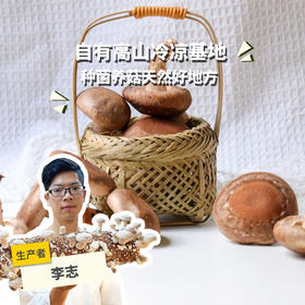 有机鲜香菇（陆运包邮） | 绿家自产 * Organic tea shitake | Self-production