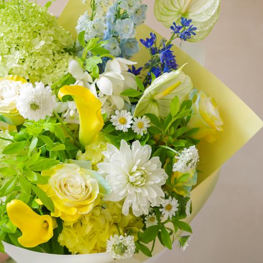 夏日卡普里 Summer in Capri 商品图11