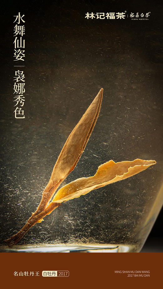 名山牡丹王·特级白牡丹2017·礼盒装30g(5g*6) 商品图9