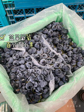 新疆蓝莓葡萄（件）