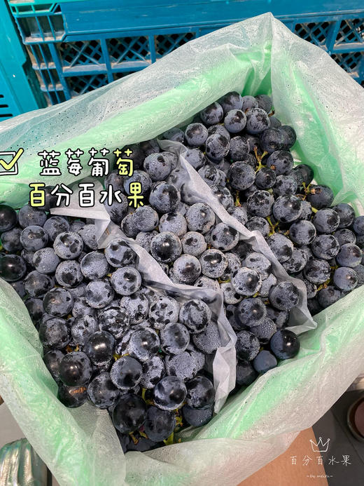 新疆蓝莓葡萄（件） 商品图0