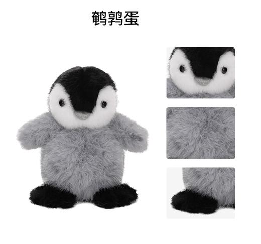 小熊汉斯鹌鹑蛋 商品图2