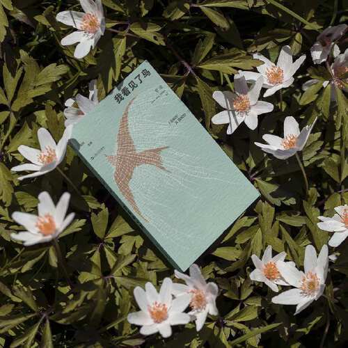 单读41·我看见了鸟 吴琦 主编 商品图2