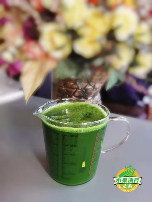 云南高原～水果清芹 商品图8