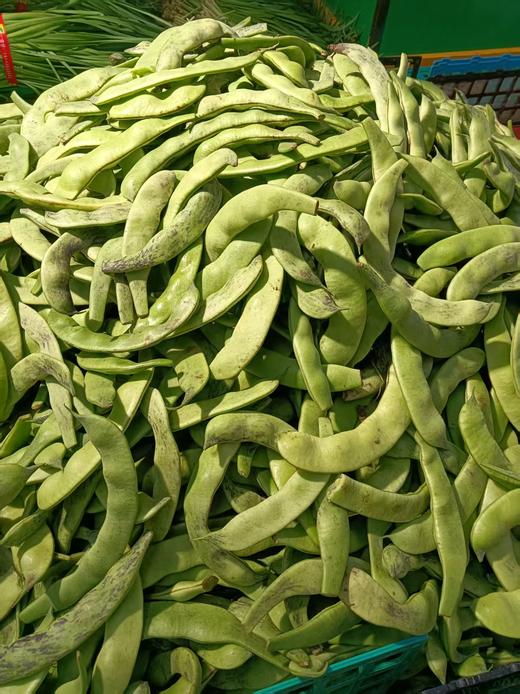 马掌豆角2斤 商品图0