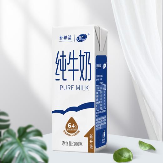新希望(雪兰)苗条砖纯牛奶200g*16 商品图0