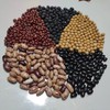 【9月4号之后发货】郭老师家 八年酵素种植 豆类 黄豆 绿豆 黑豆 黑饭豆 真空包装 商品缩略图2