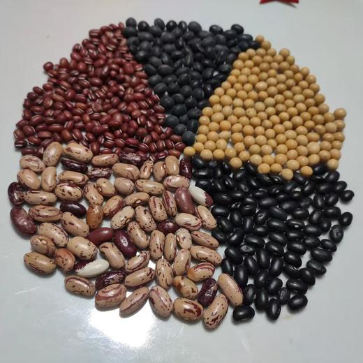 【9月4号之后发货】郭老师家 八年酵素种植 豆类 黄豆 绿豆 黑豆 黑饭豆 真空包装 商品图2