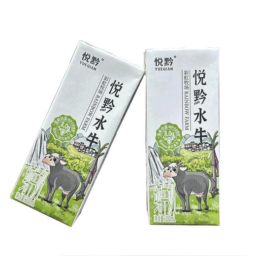 【直发】悦黔认养吃甘蔗的水牛奶200g*10盒/箱 商品图1